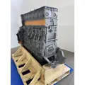 DETROIT DIESEL DD15 Engine Assembly thumbnail 3