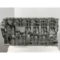 DETROIT DIESEL DD15 Engine Block thumbnail 1