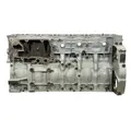 DETROIT DIESEL DD16 Cylinder Block thumbnail 12