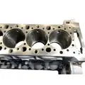 DETROIT DIESEL DD16 Cylinder Block thumbnail 13