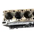 DETROIT DIESEL DD16 Cylinder Block thumbnail 14