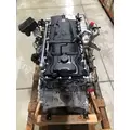 DETROIT DIESEL DD8 Engine Assembly thumbnail 6