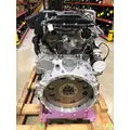DETROIT DIESEL DD8 Engine Assembly thumbnail 5