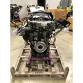 DETROIT DIESEL DD8 Engine Assembly thumbnail 2