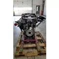 DETROIT DIESEL DD8 Engine thumbnail 1