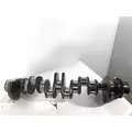 DETROIT DIESEL Series 60 DDEC II 11.1L Crankshaft thumbnail 1