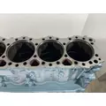 DETROIT DIESEL Series 60 DDEC II 11.1L Cylinder Block thumbnail 9