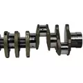 DETROIT DIESEL Series 60 DDEC V 14.0L Crankshaft thumbnail 4