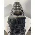 DETROIT DIESEL Series 60 DDEC VI 14.0L Cylinder Block thumbnail 2