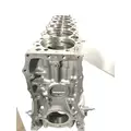 DETROIT DIESEL Series 60 DDEC VI 14.0L Cylinder Block thumbnail 4
