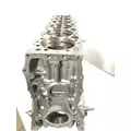 DETROIT DIESEL Series 60 DDEC VI 14.0L Engine Block thumbnail 4