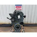 DETROIT 60 SER 12.7 Engine Assembly thumbnail 3