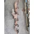 DETROIT 60 SER 12.7 Exhaust Manifold thumbnail 2