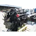 DETROIT 60 SERIES-12.7 DDC4 EGR ENGINE ASSEMBLY thumbnail 1