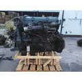 DETROIT 60 SERIES-14.0 DDC6 ENGINE ASSEMBLY thumbnail 5