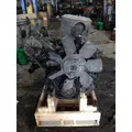 DETROIT 8.2N Engine Assembly thumbnail 3