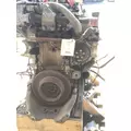 DETROIT CASCADIA Engine Assembly thumbnail 4