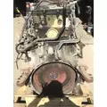 DETROIT CASCADIA Engine Assembly thumbnail 6