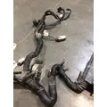 DETROIT Coronodo Engine Wiring Harness thumbnail 3