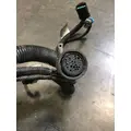 DETROIT Coronodo Engine Wiring Harness thumbnail 6