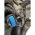 DETROIT Coronodo Engine Wiring Harness thumbnail 7