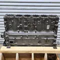 DETROIT D60 Engine Assembly thumbnail 2