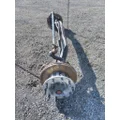 DETROIT DA-F-13.3-3 AXLE ASSEMBLY, FRONT (STEER) thumbnail 4