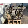 DETROIT DD 15 Engine Assembly thumbnail 3