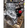 DETROIT DD13 (471952) ENGINE ASSEMBLY thumbnail 3