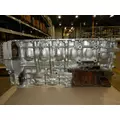 DETROIT DD13 CYLINDER BLOCK thumbnail 3