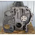 DETROIT DD13 Cylinder Block thumbnail 4