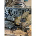 DETROIT DD13 Cylinder Block thumbnail 1