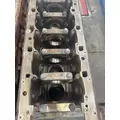 DETROIT DD13 Cylinder Block thumbnail 2