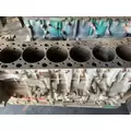 DETROIT DD13 Cylinder Block thumbnail 3