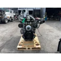 DETROIT DD13 Engine Assembly thumbnail 4