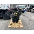 DETROIT DD13 Engine Assembly thumbnail 5