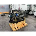DETROIT DD13 Engine Assembly thumbnail 11