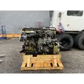 DETROIT DD13 Engine Assembly thumbnail 9