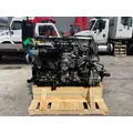 DETROIT DD13 Engine Assembly thumbnail 6