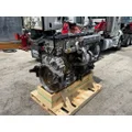 DETROIT DD13 Engine Assembly thumbnail 4