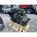 DETROIT DD13 Engine Assembly thumbnail 9