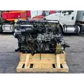 DETROIT DD13 Engine Assembly thumbnail 6