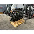 DETROIT DD13 Engine Assembly thumbnail 4