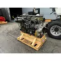 DETROIT DD13 Engine Assembly thumbnail 7