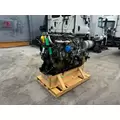 DETROIT DD13 Engine Assembly thumbnail 6