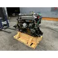 DETROIT DD13 Engine Assembly thumbnail 6