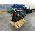 DETROIT DD13 Engine Assembly thumbnail 6