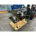 DETROIT DD13 Engine Assembly thumbnail 8