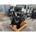 DETROIT DD13 Engine Assembly thumbnail 6