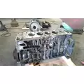 DETROIT DD13 Engine Assembly thumbnail 3
